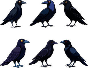 crow silhouette vector illustration
