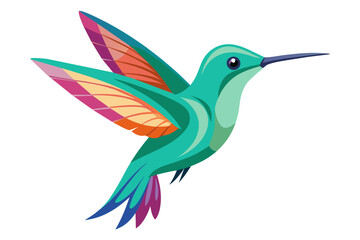 Beautiful hummingbird vector art illustration