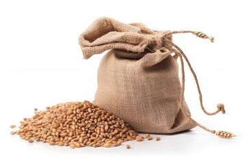 Wheat Spike and Wheat Grain in Burlap Bag Isolated: A Rustic and Natural Composition Showcasing the Essentials of Harvest and Agriculture
