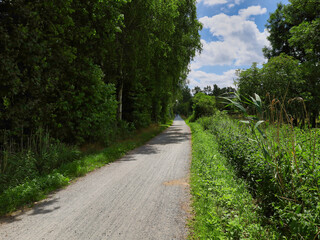 In der Heide