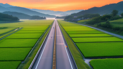 Morning Bike Race: Cyclists Passing Through Rice Field Views on Both Sides