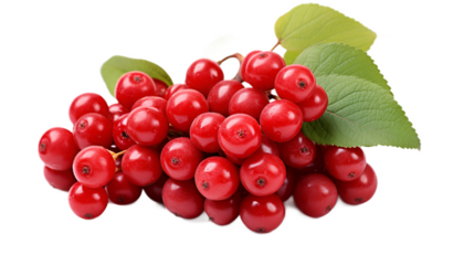 a bunch of red berries with green leaves

