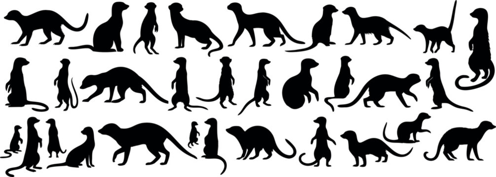 Meerkat silhouette vector collection, animal poses, standing, walking, watching meerkat set, wildlife art meerkat vector illustration for nature designs, educational content, animal lover