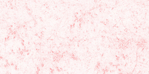 Natural marble ceramic floor tiles Italian granite slab surface texture abstract background. Pinkish marble texture with natural pattern vector art design. White marble texture luxury background.	