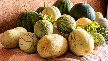 Still life with various autumn vegetables, melons and watermelon, autumn