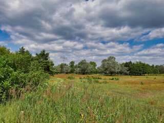 In der Heide