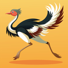 ostrich illustration vector