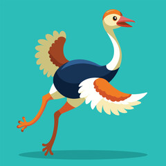 ostrich illustration vector