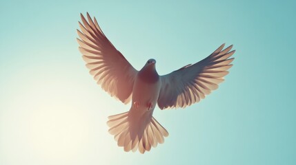 Obraz premium A bird in flight, captured from below, with its wings spread wide against a bright, cloudless sky.