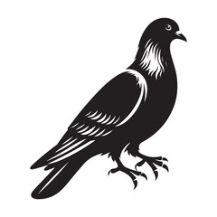Obraz premium dove bird silhouette vector