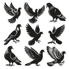 Naklejka premium dove bird silhouette vector