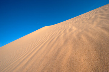 Sands of Time: Discover the intricate beauty of desert sand patterns, a natural artwork shaped by wind and time; The rhythm of shifting sands; survival in harsh environments
