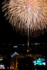 真夏に上がる鹿児島の打ち上げ花火