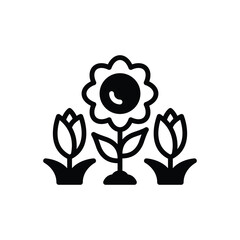 Black solid icon for spring