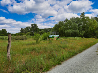 Waldweg