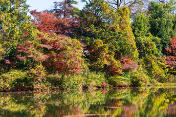 日本の風景・秋　東京都　紅葉の多摩湖・狭山公園