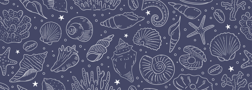 Seamless vector banner with hand drawn sea shells, conch, tentacle, starfish, corals. Outline marine drawings on wide background. Pattern with sketch silhouettes of seashore elements