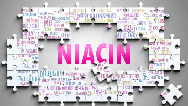 Niacin as a complex subject, related to important topics. Pictured as a puzzle and a word cloud made of most important ideas and phrases related to niacin. ,3d illustration