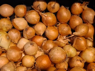Zwiebeln im Supermarkt - allium cepa
