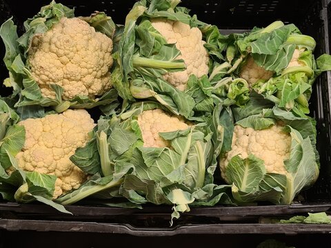 Blumenkohl im Supermarkt, Karfiol, K&auml;sekohl - Brassica oleracea 