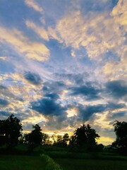 sunset over the field