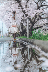 桜リフレクション