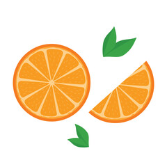 orange slice with leaves vector illustration on white