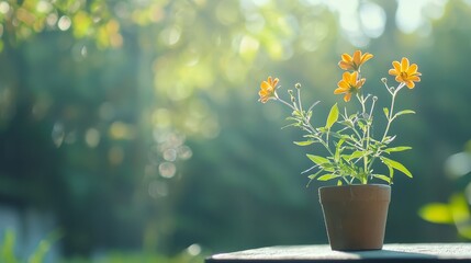  A potted yellow flower plant is positioned on a table against a backdrop of a green park, adorned with trees