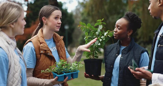 Nature, walking and group of volunteers with planst in park for community service, sustainability or gardening. Charity, outdoor and male ngo team with leaves for eco friendly outreach project.