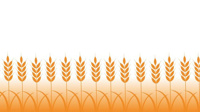Wheat Crop Field Cartoon Animation Background. Loop animation