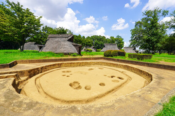 竪穴住居の発掘調査時の姿（横浜市 大塚歳勝土遺跡公園）