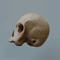 3d Render of stylized skull