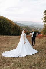 A bride and groom are standing in a field with a beautiful view of the mountains in the background