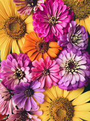 Beautiful colorful blooms of zinnias and sunflowers, top down view. Natural floral texture for background. Many summer blossoms.