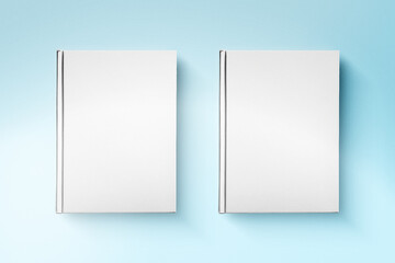 Brand Book Mockup on Blue Background