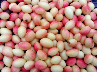 Carissa carandas red and white group of cherry fruit 