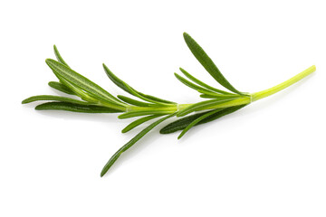 Fototapeta premium Rosemary leaf herbal is spices isolated on a white background.