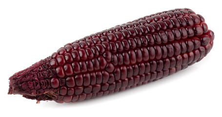 Fresh purple corns isolated on a white background