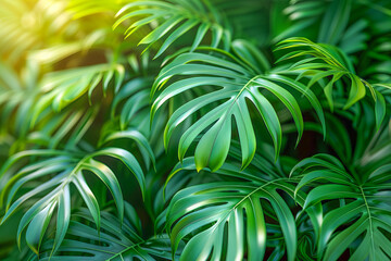 Tropical green leaves background creating fresh natural pattern