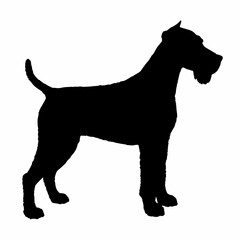 Dog Breeds Silhouette Svg Bundle, Dog Breed Svg,,Dog Silhouette Bundle, Dogs Mega Silhouette Bundle, Dogs Silhouette SVG Png, Dog Silhouette, Dog Breed Silhouette