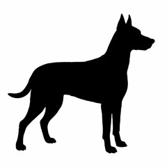 Dog Breeds Silhouette Svg Bundle, Dog Breed Svg,,Dog Silhouette Bundle, Dogs Mega Silhouette Bundle, Dogs Silhouette SVG Png, Dog Silhouette, Dog Breed Silhouette