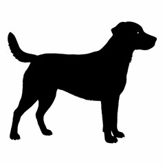 Dog Breeds Silhouette Svg Bundle, Dog Breed Svg,,Dog Silhouette Bundle, Dogs Mega Silhouette Bundle, Dogs Silhouette SVG Png, Dog Silhouette, Dog Breed Silhouette