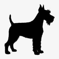 Dog Breeds Silhouette Svg Bundle, Dog Breed Svg,