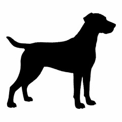 Dog Breeds Silhouette Svg Bundle, Dog Breed Svg,,Dog Silhouette Bundle, Dogs Mega Silhouette Bundle, Dogs Silhouette SVG Png, Dog Silhouette, Dog Breed Silhouette