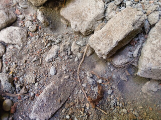nest of retreating animals (larval animals walking backwards or lion insects). Small swirls or conical holes in the sand nest small brown insects. antlion. acer myrmeleon
