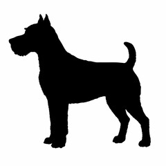 Dog Breeds Silhouette Svg Bundle, Dog Breed Svg,,Dog Silhouette Bundle, Dogs Mega Silhouette Bundle, Dogs Silhouette SVG Png, Dog Silhouette, Dog Breed Silhouette