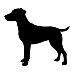 Dog Breeds Silhouette Svg Bundle, Dog Breed Svg,,Dog Silhouette Bundle, Dogs Mega Silhouette Bundle, Dogs Silhouette SVG Png, Dog Silhouette, Dog Breed Silhouette