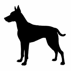 Dog Breeds Silhouette Svg Bundle, Dog Breed Svg,