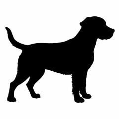 Dog Breeds Silhouette Svg Bundle, Dog Breed Svg,