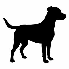 Dog Breeds Silhouette Svg Bundle, Dog Breed Svg,,Dog Silhouette Bundle, Dogs Mega Silhouette Bundle, Dogs Silhouette SVG Png, Dog Silhouette, Dog Breed Silhouette